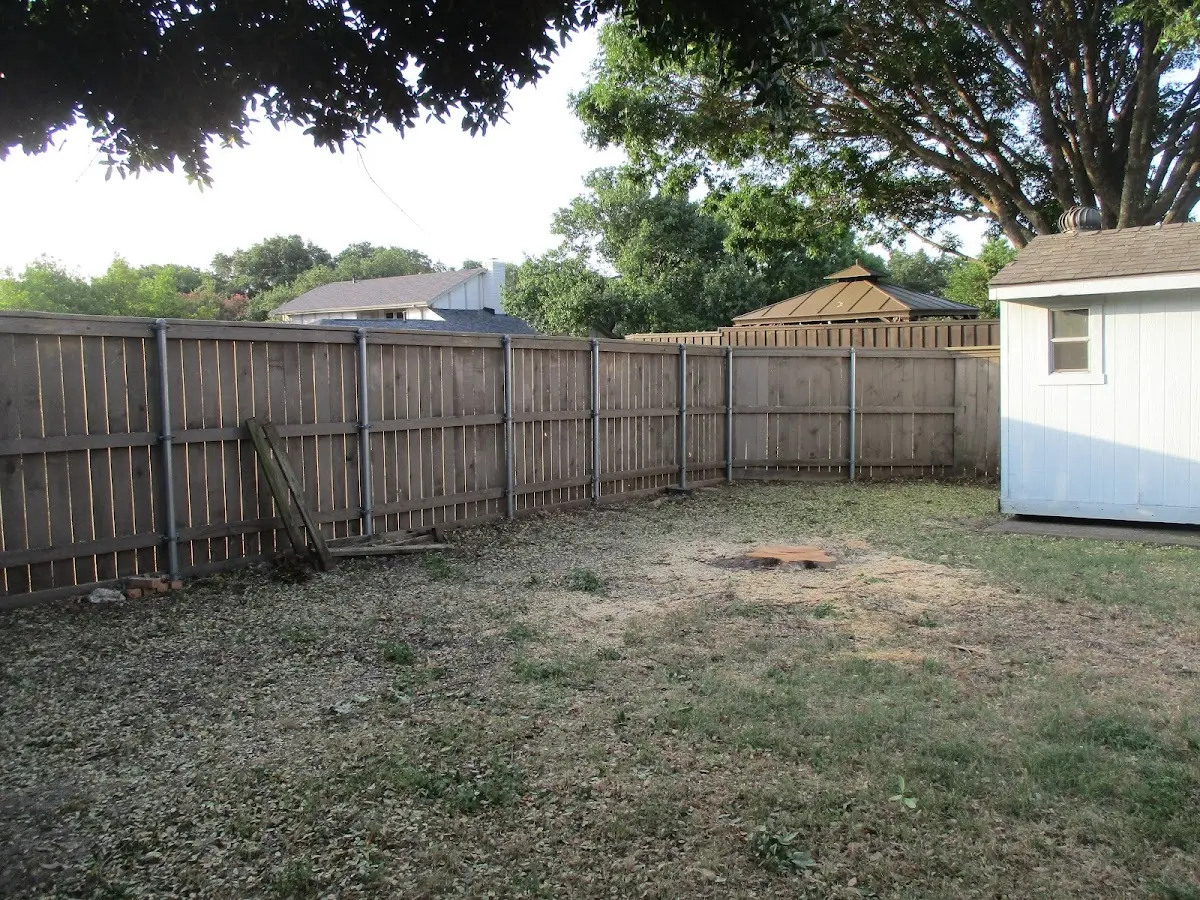 Cleared yard after professional tree removal in Hughesville
